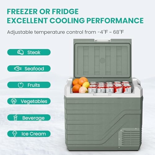 Portable freezer or fridge with excellent cooling performance, showing cans and fruits inside.